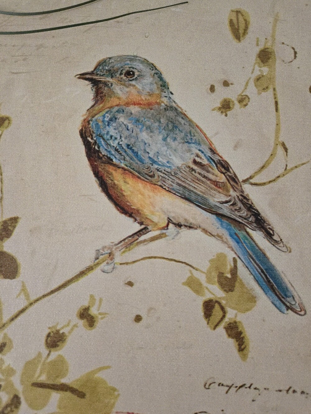 Artist Chad Barrett Print On Canvas "Gilded Songbird 4" 11x14"